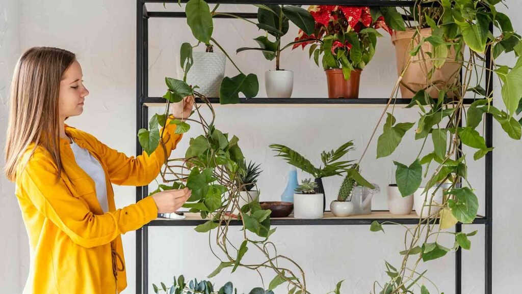 mujer joven jardineria casa - Mi Soporte Cómo crear un “oasis” verde en tu hogar