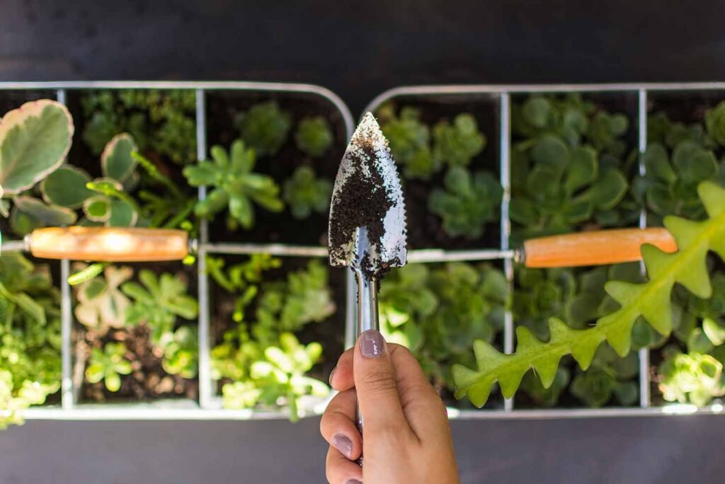 vista superior persona cuidando plantas - Mi Soporte Cómo crear un “oasis” verde en tu hogar